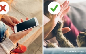 Đặt điện thoại xuống, bạn sẽ cảm nhận được những điều này!