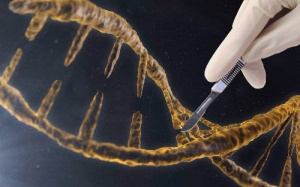 Trung Quốc chuẩn bị sửa gene người để chữa ung thư