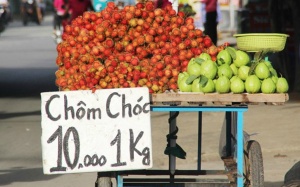 Trái cây vào mùa giá rẻ lắm - tranh thủ ăn đi thôi