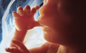 Thai nhi 4 tháng tuổi sợ gì nhất?