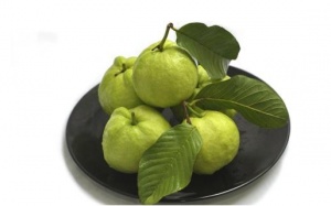 Lá ổi: 'Phép lạ' giúp bạn sở hữu làn da đẹp!