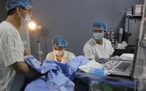 Khám miễn phí và hỗ trợ kinh phí hơn 1 tỷ đồng cho 500 cặp vợ chồng hiếm muộn