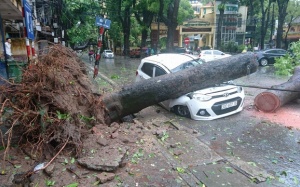 Hình ảnh kinh hoàng về sức tàn phá của bão số 1 tại Hà Nội