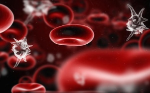 Bác sỹ đầu ngành tử vong vì tưởng cảm cúm: Báo động căn bệnh giết người sau vài giờ