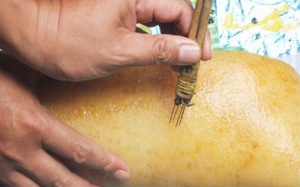 Báo động tình trạng tẩm hóa chất “hô biến” thịt heo thành thịt rừng