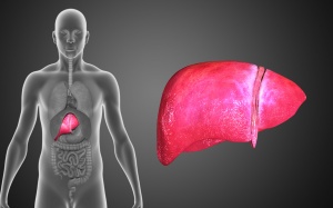 Tầm soát ung thư gan ngay nếu xuất hiện các triệu chứng này!