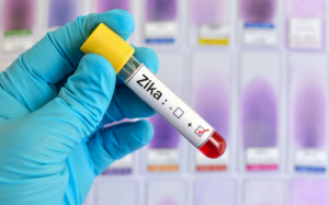 Sẽ nhanh có vaccine phòng ngừa virus Zika?