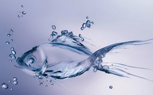 Chưa dùng collagen cá - hỏi sao da không đẹp!