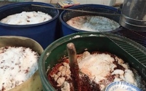 Rùng mình giòi bò lúc nhúc trong 7 tấn tương ớt