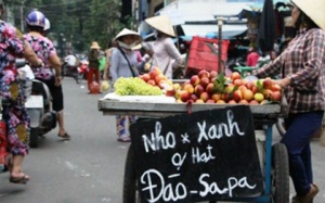 Những loại trái cây Trung Quốc đội lốt hàng Việt