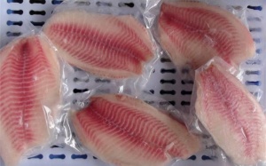 Được nuôi bằng kháng sinh và chất độc, loại cá này rất nguy hiểm nhưng được chuộng vì rẻ