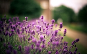 Điều bất ngờ nào chờ đón 12 cung hoàng đạo ngày 9/8/2016?