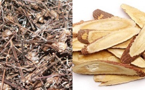 Uống nước nhân trần, cam thảo kiểu này, không sớm thì muộn cũng bị suy thận