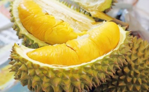 Sẽ ngộ độc khi ăn sầu riêng cùng đồ uống này