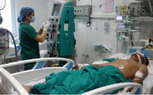 Mổ thịt lợn ốm, người nuôi nhiễm liên cầu nguy kịch