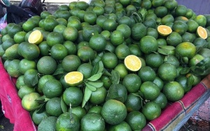 Cam Trung Quốc giá 20.000 đồng/kg bán tràn Hà Nội