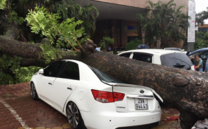 Bão số 3 đổ bộ, Hà Nội cây đổ, phố biến thành sông