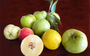 Hạ huyết áp ngay nhờ các loại thảo dược này