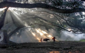 Những bức ảnh chụp bằng Iphone đẹp nhất thế giới