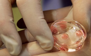 Chuyện lạ Việt Nam: Người phụ nữ 58 tuổi đã mãn kinh vẫn sinh con khỏe mạnh