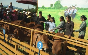 Rơi nước mắt với những mảnh đời cơ cực