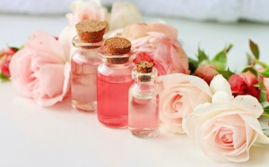 Từ nguyên liệu vài nghìn đồng chế ngay toner da nào cũng hợp