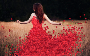 Ngày 27/8/2016 có gì đặc biệt?