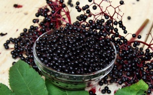 Khám phá tủ thuốc chữa bệnh đặc biệt của ông Tổ ngành Y