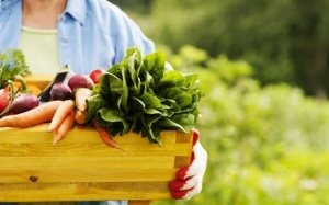 4 lời khuyên đơn giản về ăn uống cho túi mật khỏe mạnh