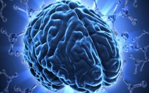 “Bộ não mini”- Phương pháp nghiên cứu mới căn bệnh Parkinson