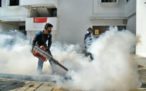 WHO cảnh báo nguy cơ virus Zika bùng phát rộng ở châu Á