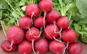 6 thực phẩm giảm cân tuyệt vời cho mùa thu