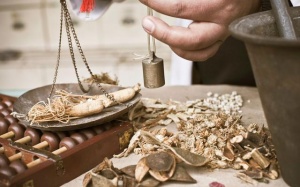 Khuyến khích nuôi trồng dược liệu cho ngành y học cổ truyền