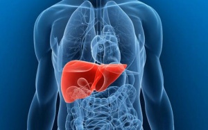 Mức selen trong máu có thể chỉ ra nguy cơ ung thư gan