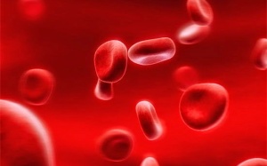 Những điều không thể bỏ qua về cholesterol