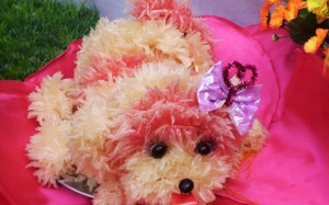 Chỉ cần 10 phút để làm một chú chó bông bưởi xinh yêu