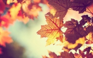 Tử vi 12 cung hoàng đạo thứ tư (14/9/2016)