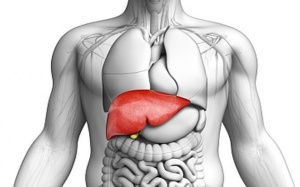 5 loại đồ uống giúp làm sạch gan tự nhiên