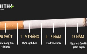 Hãy xem điều gì xảy ra với cơ thể khi bạn bỏ thuốc lá!