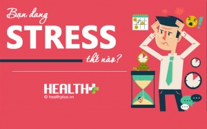 Bạn đang stress tới mức nào?