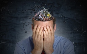 Video: Não bộ hoạt động như thế nào trong một ngày?