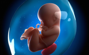 Thiểu ối và đa ối đều đe dọa thai nhi, mẹ cần lưu ý để cứu con!