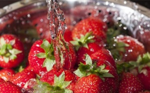 GS. Nguyễn Lân Dũng 'mách' cách ăn sạch mà không cần máy sục ozone