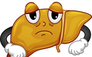 Gan nhiễm mỡ: Người không uống rượu cũng có thể mắc bệnh