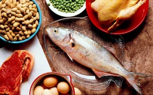 Những điều nên biết về protein