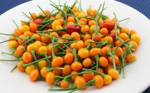 Có gì trong quả ớt đắt nhất thế giới, gần 600 triệu đồng/kg?