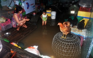 Sài Gòn sau mưa ngập, nhiều bệnh rình rập