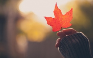 Chào đón tuần mới với tử vi 12 cung hoàng đạo!