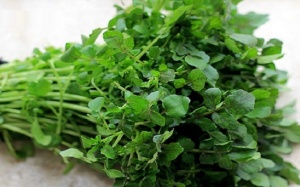 6 lợi ích sức khỏe của rau cải xoong