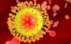 Phát hiện mới: Tìm ra cách xâm nhập cơ thể của virus Zika